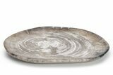 Tropical Hardwood Petrified Wood Dish - Indonesia #210590-2